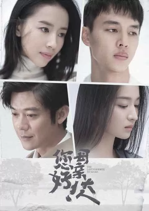 您好！母亲大人